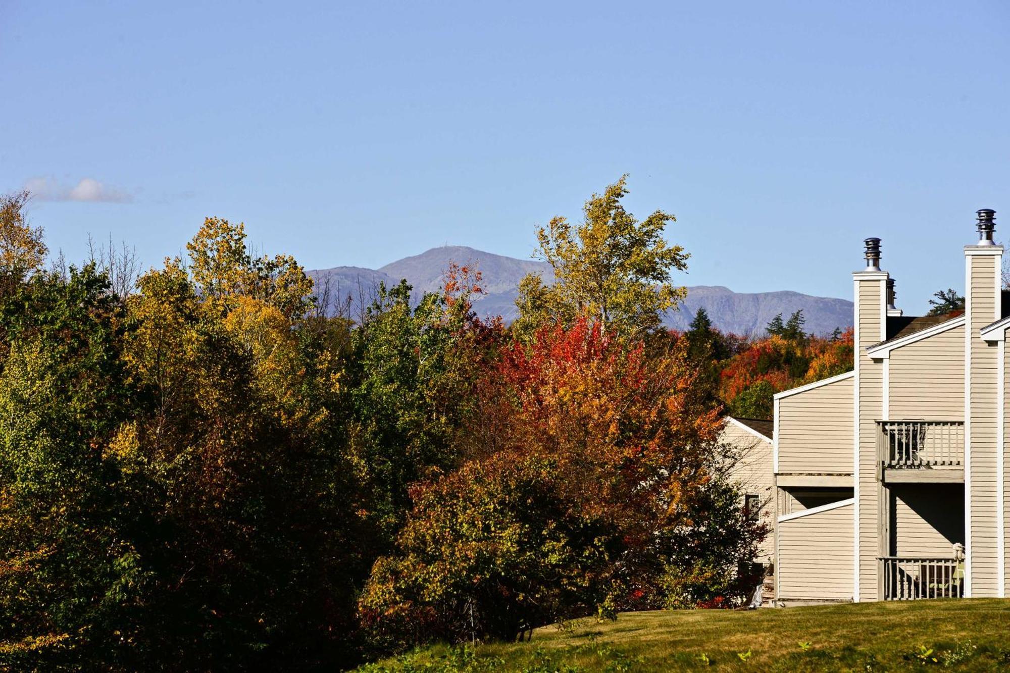 Bartlett Condo With Mountain Views Near Ski Resorts! Exterior photo